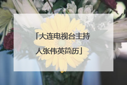 大连电视台主持人张伟英简历