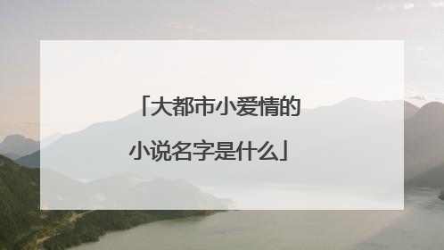 大都市小爱情的小说名字是什么