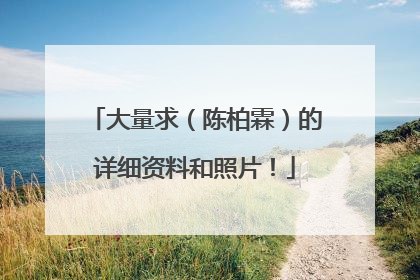 大量求(陈柏霖)的详细资料和照片!
