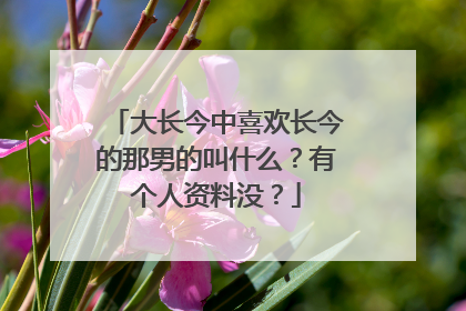 大长今中喜欢长今的那男的叫什么？有个人资料没？