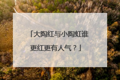 大陶红与小陶虹谁更红更有人气?