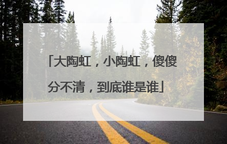 大陶虹,小陶虹,傻傻分不清,到底谁是谁