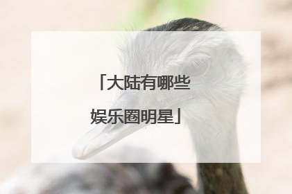 大陆有哪些娱乐圈明星