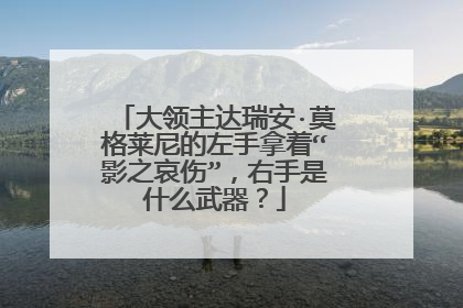 大领主达瑞安·莫格莱尼的左手拿着“影之哀伤”,右手是什么武器?