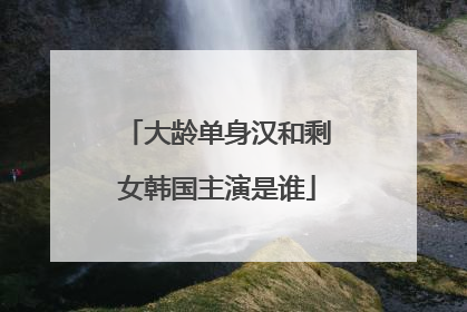 大龄单身汉和剩女韩国主演是谁