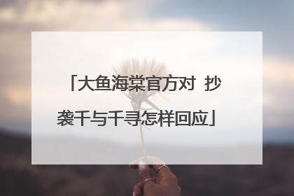 大鱼海棠官方对 抄袭千与千寻怎样回应