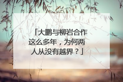 大鹏与柳岩合作这么多年,为何两人从没有越界?