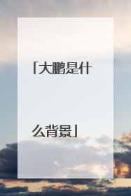 大鹏是什么背景