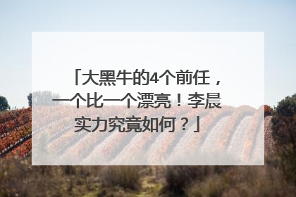 大黑牛的4个前任,一个比一个漂亮!李晨实力究竟如何?