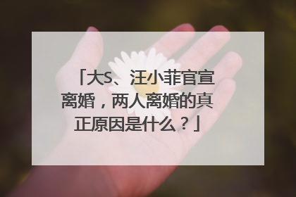 大S、汪小菲官宣离婚,两人离婚的真正原因是什么?