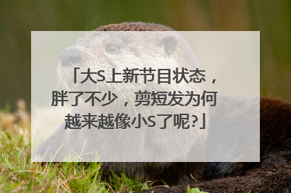 大S上新节目状态，胖了不少，剪短发为何越来越像小S了呢?