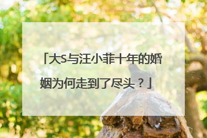 大S与汪小菲十年的婚姻为何走到了尽头?