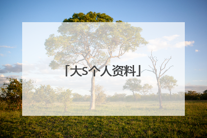 大S个人资料