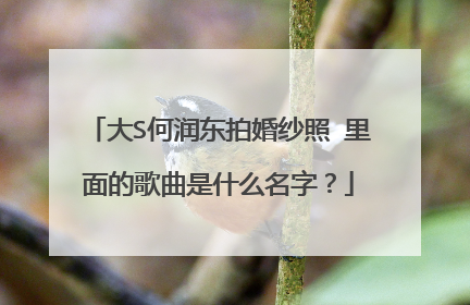 大S何润东拍婚纱照 里面的歌曲是什么名字？