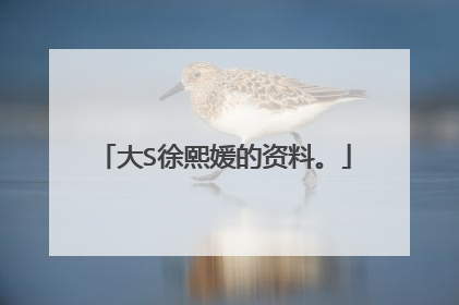 大S徐熙媛的资料。