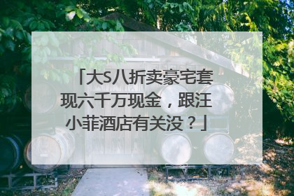 大S八折卖豪宅套现六千万现金，跟汪小菲酒店有关没？