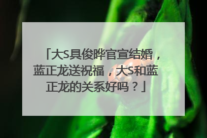 大S具俊晔官宣结婚,蓝正龙送祝福,大S和蓝正龙的关系好吗?