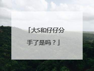 大S和仔仔分手了是吗？
