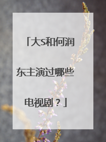 大S和何润东主演过哪些电视剧？