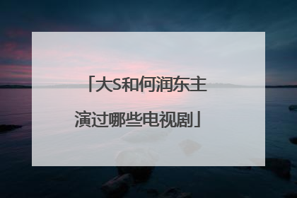大S和何润东主演过哪些电视剧