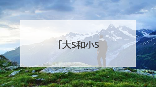 大S和小S分别的资料