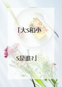 大S和小S是谁?