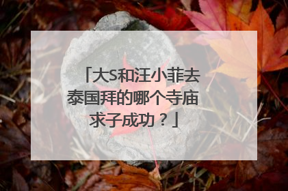 大S和汪小菲去泰国拜的哪个寺庙求子成功？