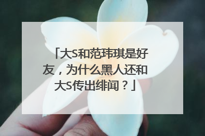 大S和范玮琪是好友，为什么黑人还和大S传出绯闻？