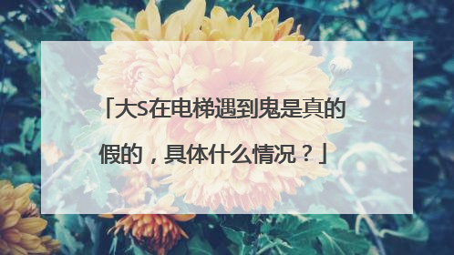 大S在电梯遇到鬼是真的假的,具体什么情况?