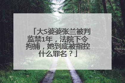 大S婆婆张兰被判监禁1年，法院下令拘捕，她到底被指控什么罪名？