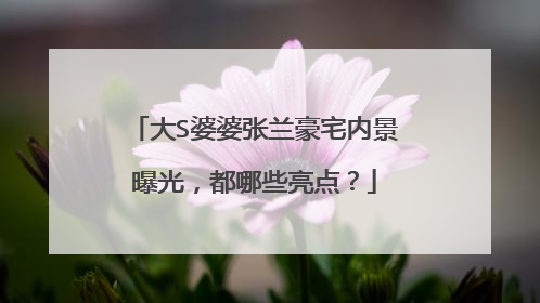 大S婆婆张兰豪宅内景曝光，都哪些亮点？