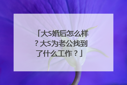大S婚后怎么样?大S为老公找到了什么工作?
