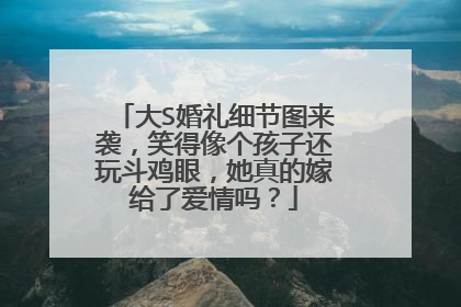 大S婚礼细节图来袭,笑得像个孩子还玩斗鸡眼,她真的嫁给了爱情吗?