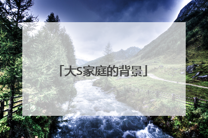 大S家庭的背景
