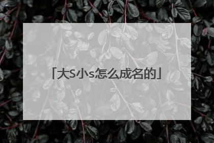 大S小s怎么成名的