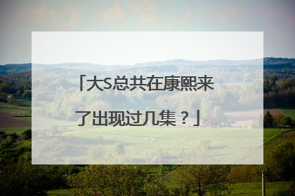 大S总共在康熙来了出现过几集?