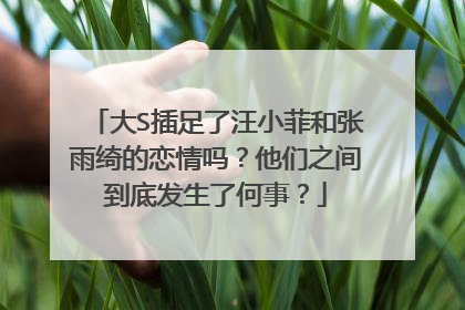大S插足了汪小菲和张雨绮的恋情吗？他们之间到底发生了何事？
