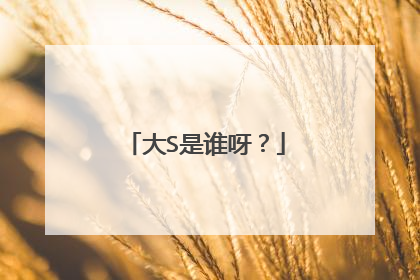 大S是谁呀？
