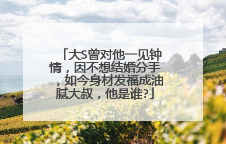 大S曾对他一见钟情,因不想结婚分手,如今身材发福成油腻大叔,他是谁?