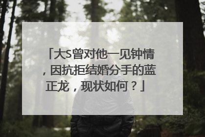大S曾对他一见钟情，因抗拒结婚分手的蓝正龙，现状如何？