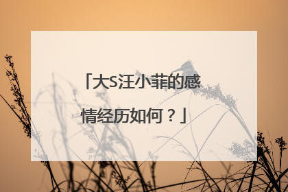 大S汪小菲的感情经历如何?