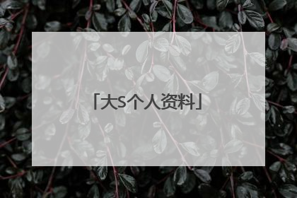大S个人资料