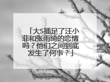 大S插足了汪小菲和张雨绮的恋情吗?他们之间到底发生了何事?