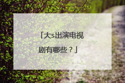 大s出演电视剧有哪些?