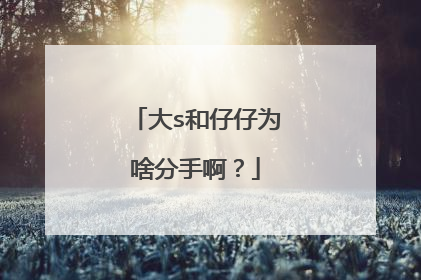 大s和仔仔为啥分手啊？