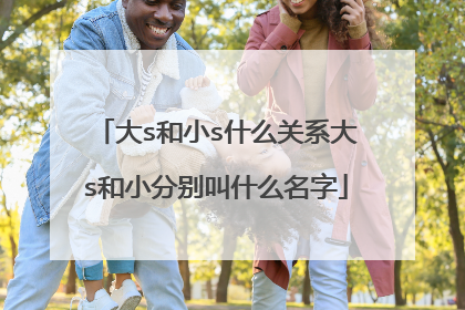 大s和小s什么关系大s和小分别叫什么名字