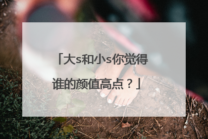 大s和小s你觉得谁的颜值高点？