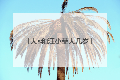 大s和汪小菲大几岁