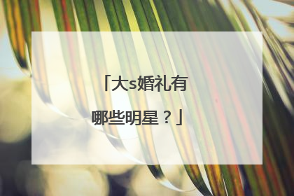 大s婚礼有哪些明星?