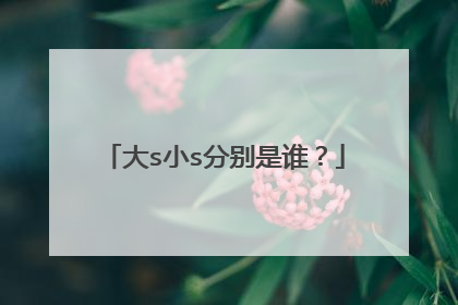 大s小s分别是谁?